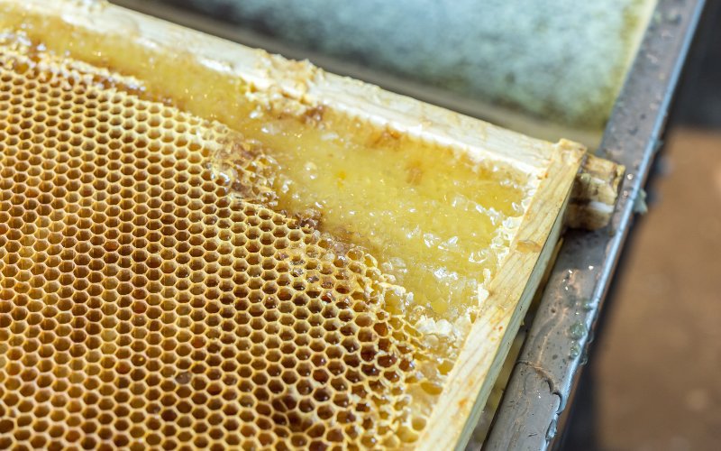 How_to_Separate_Honey_From_Wax_Cappings